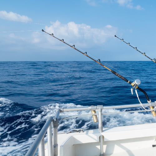 Explora las Mejores Técnicas de Pesca: Consejos para Principiantes y Expertos